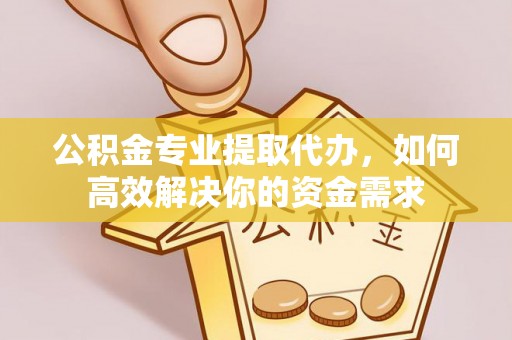 句容公积金专业提取代办，如何高效解决你的资金需求