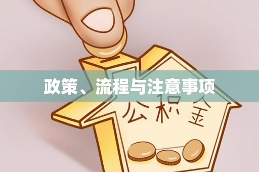 句容政策、流程与注意事项
