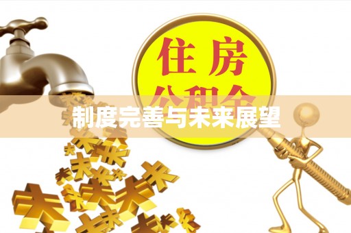 句容制度完善与未来展望