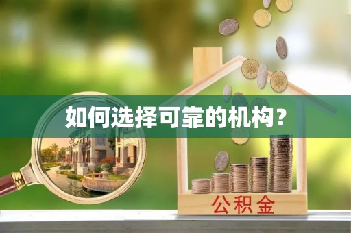 句容如何选择可靠的机构？