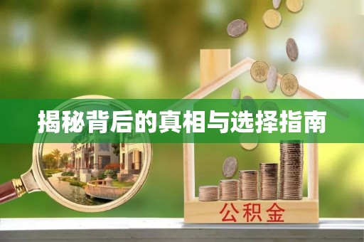 句容揭秘背后的真相与选择指南