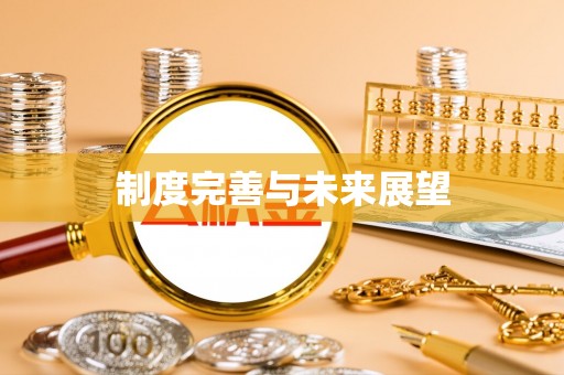 句容制度完善与未来展望
