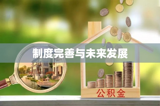 句容制度完善与未来发展