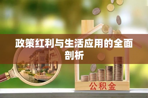 句容政策红利与生活应用的全面剖析