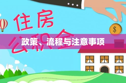 句容政策、流程与注意事项