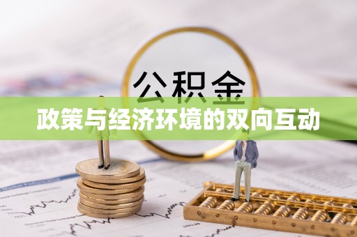 句容政策与经济环境的双向互动