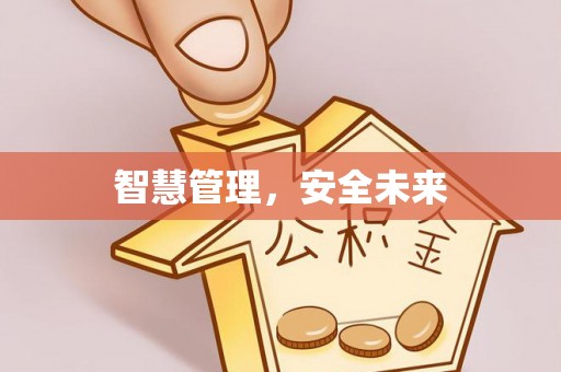 句容智慧管理，安全未来