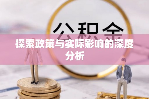 句容探索政策与实际影响的深度分析