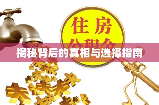 句容揭秘背后的真相与选择指南