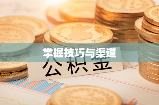 句容掌握技巧与渠道