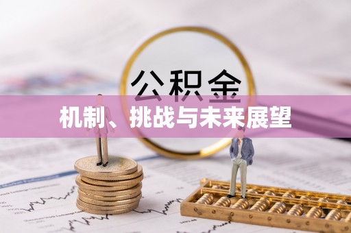 句容机制、挑战与未来展望