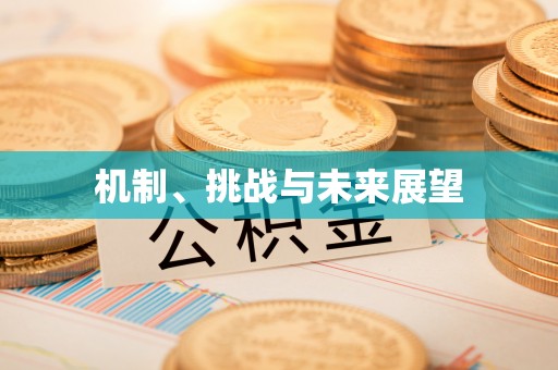 句容机制、挑战与未来展望